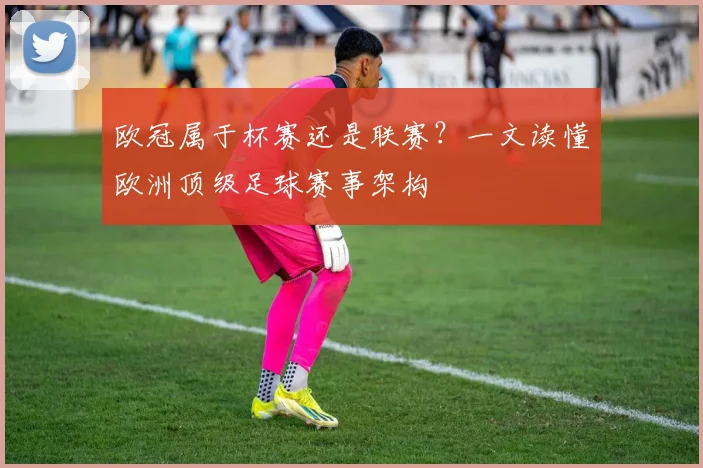 欧冠属于杯赛还是联赛？一文读懂欧洲顶级足球赛事架构