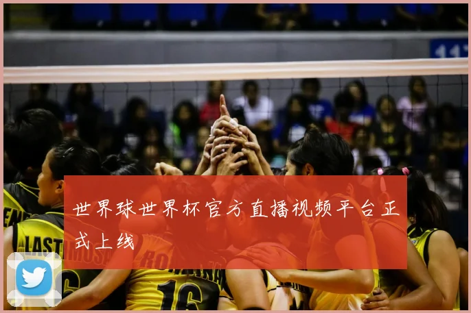世界球世界杯官方直播视频平台正式上线
