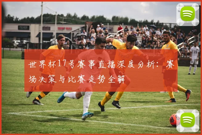 世界杯17号赛事直播深度分析:赛场决策与比赛走势全解