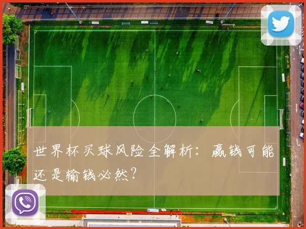 世界杯买球风险全解析:赢钱可能还是输钱必然?
